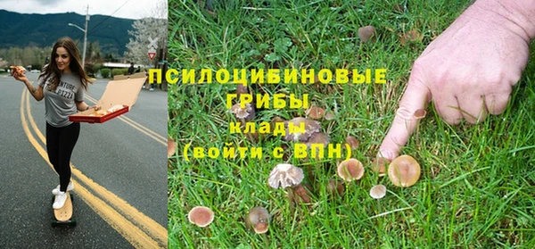 молекула духа Армянск
