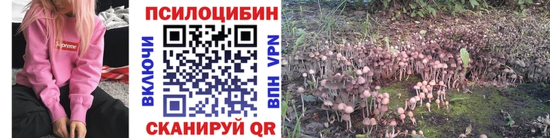 Галлюциногенные грибы MAGIC MUSHROOMS  darknet наркотические препараты  Можга  магазин   