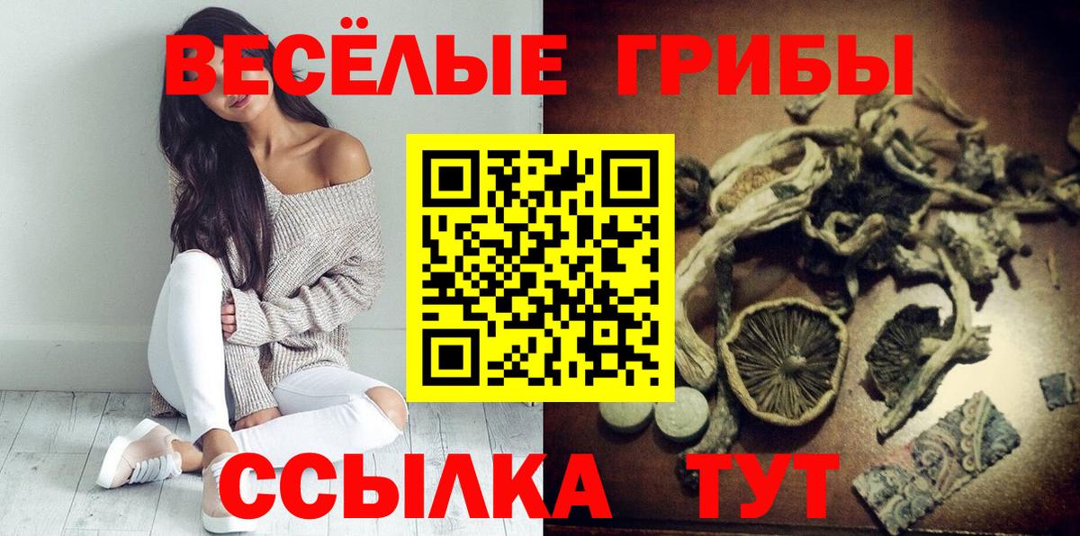 Галлюциногенные грибы GOLDEN TEACHER Можга