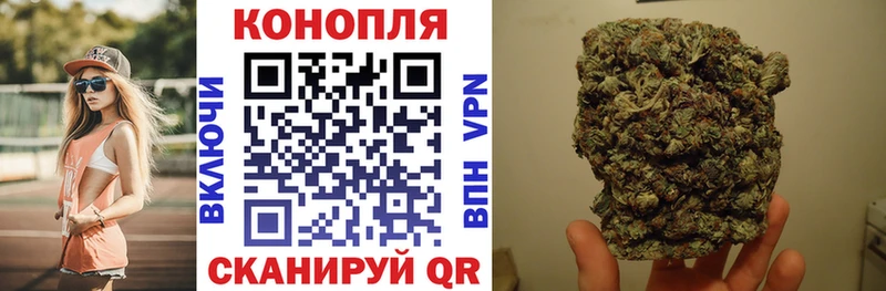 где купить наркоту  Можга  Бошки Шишки тримм 